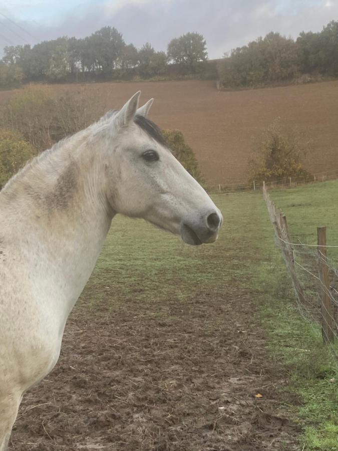 Holiday home Chez Sophie - Et Equestre *